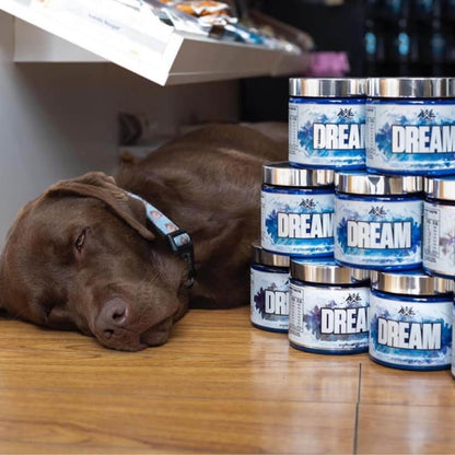 Axe Laboratories Dream