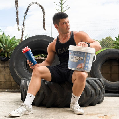 International Protein Heavyweight Mass Gainer